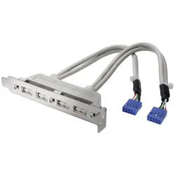 Digitus Digitus USB 2.0 Adapter [4x USB 2.0 Buchse intern 10pol. - 2x USB 2.0 USB-Adapter, 20.00 cm grau