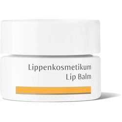 Dr. Hauschka Lippenkosmetikum