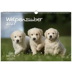 Seelenzauber Wandkalender Welpenzauber DIN A3 Kalender für 2027 Hunde Welpen - Seelenzauber weiß
