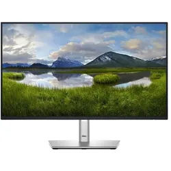 24" P2425H - 1920x1080 (FHD) - 100Hz - IPS - 15W USB-C