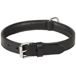 Flamingo Hunde-Halsband Halsband Arizona Leder schwarz schwarz Maße: 40-46 cm / 28 mm