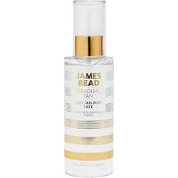 James-Read Pflege SelbstbraeunerH2O Tan Mist 100 ml