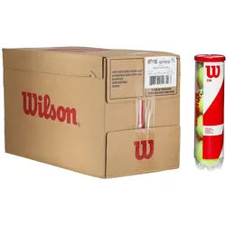 Wilson Tennisbälle Team W Practice Dose 18x4er im Karton