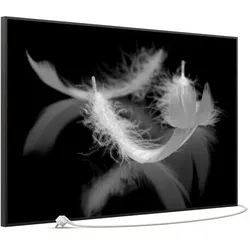 STEINFELD Heizsysteme Infrarotheizung Bild 900W, 120x74cm, Made in Germany, 7J Garantie, mit Thermostat, viele Motive schwarz