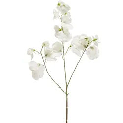 Kunstblume Blütenzweig Wicke, Emerald, Höhe 75 cm, Farbe: Weiß weiß