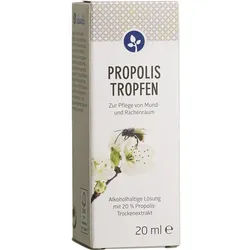 Propolis Tinktur 20% 20 ML