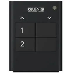 Funk-Handsender 2-kanalig