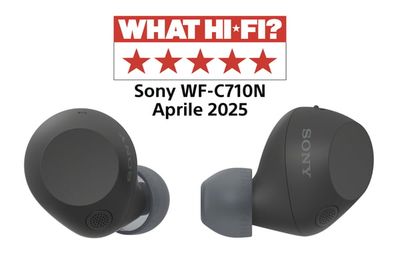 Sony WFC710NB.CE7 hovedtelefoner/headset True Wireless Stereo (TWS) I ørerne Opkald/musik USB Type-C Bluetooth Sort