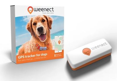Weenect XS PET GPS-spårare Svart