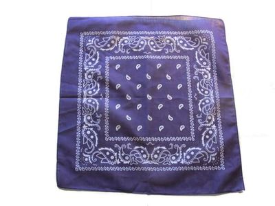 Lilla bandana Paisley skjerf