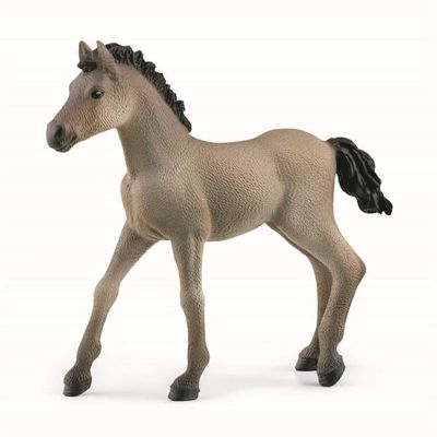 Schleich Criollo Definitivo Foal 13949