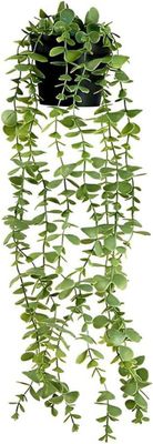 Moorle hængende kunstplante, inkl. 1 kunstigt hængende plante (60 cm), med urtepotteskjuler, kunstige planter