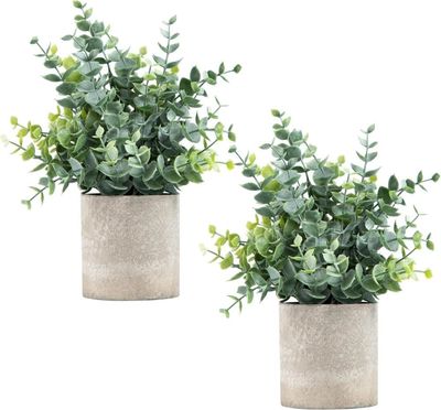 OBOSOE 2-Pack Små Konstgjorda Växter med Kruka – Eukalyptus för Hylla, Skrivbord, Badrum & Inredning