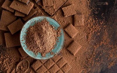 NATURLIG kakaopulver 1 kg ikke-alkaliseret