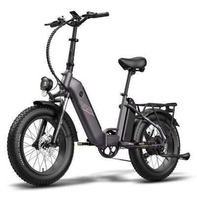 Foldbar elcykel FAFREES FF20 Polar, EU-typegodkendt, dobbelt batteri