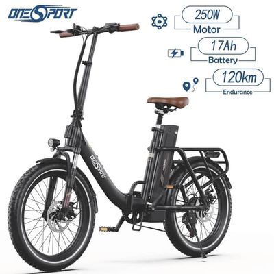 ONESPORT OT16-2 elcykel, 250W motor 48V 17Ah batteri, 20" däck, mekaniska skivbromsar, 25km/h maxhastighet -svart