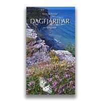 Dagfjärilar en fältguide