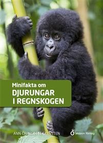 Minifakta om djurungar i regnskogen