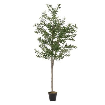 Kunstigt oliventræ 210 cm kunstig plante med stamme af naturligt træ og frugter ML-design