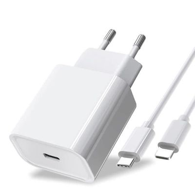 20W snabbladdare för Apple iPhone 13 12 11 Pro Max, Mini X XS XR, AirPods, iPad, USB C v EU Adapter Laddare och kabel AK