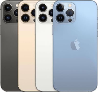 iPhone 13 Pro Max 256GB - 1 År Garanti Begagnad i Nyskick - Svart