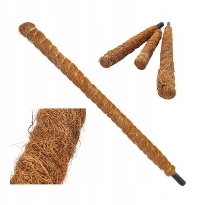 Dekorativt växtstöd för kokosnöt, Eco 150 cm