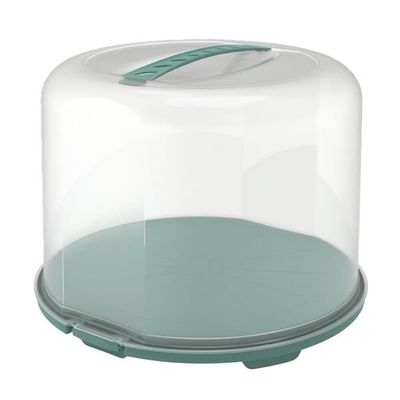 Rotho Fresh Taartdoos XL 35,5x34,5x26 cm Mistelten Grøn/Transparant