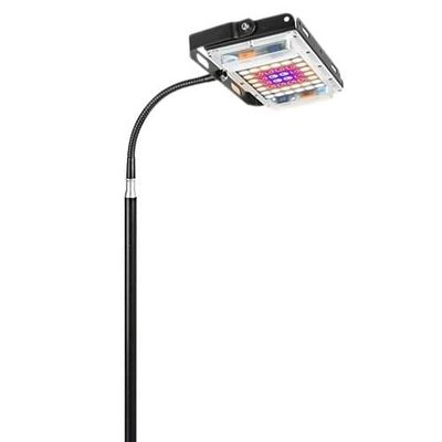 INF 1,6m Stand Plant Light med Timer og Lysdæmper Sort
