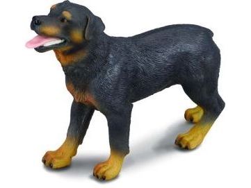Figurka Collecta Pies rasy Rottweiler (004-88189)