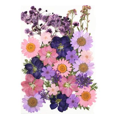 Moorle Torkade Pressade Blommor – Blomsterset för DIY-ljus, Resin Smycken, Hängen, Scrapbooking och Dekorativa Hantverk