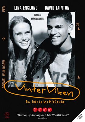 Vinterviken (DVD)