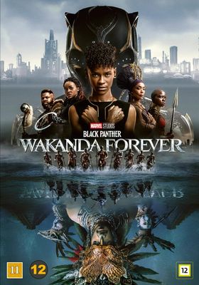 Black Panther 2 - Wakanda forever (DVD)