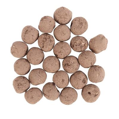 Something Different Plants Flower Seeds (Pack of 24)