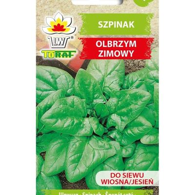 Spenat vinterjätte 10g