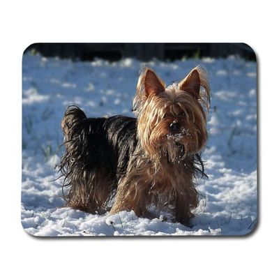 Musmatta: Yorkshireterrier, halkfri gummibas, livfull och unik design, perfekt för hemmet eller kontoret