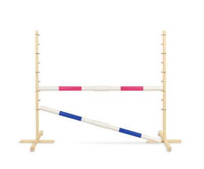 Hopphinder för hobbyhäst 160 cm, höjd 120 cm, två balkar - rosa och blå