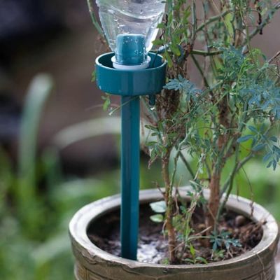 Automatisk vanning av potteplanter - vanning av blomster med PET-flaske