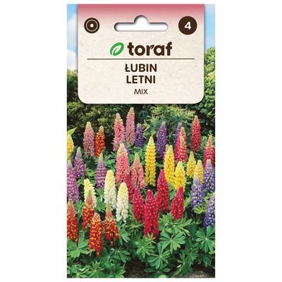 Frö till sommarlupin Mix – Färgsprakande spiror för rabatter och snittblommor