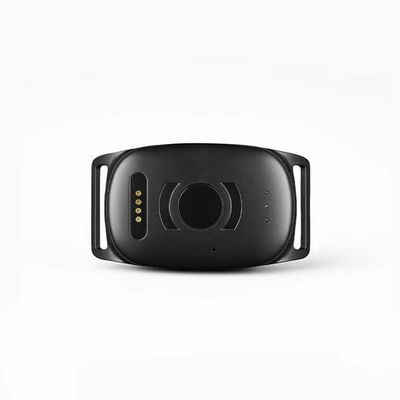 GPS for hund – Atto Pro