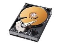CoreParts - Hårddisk - 40 GB - intern - 3,5" - IDE - 7200 rpm - istandsat - för Acer Acer AcerPower F1, F1b, F1c