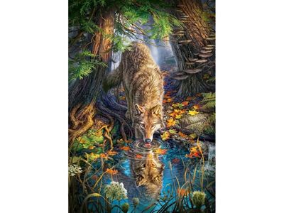 Castorland Wolf in the Wild, 1500 stykker, Dyr, 9 år