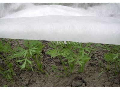 Spring agrotekstil hvid 17g 1,6m x 10m