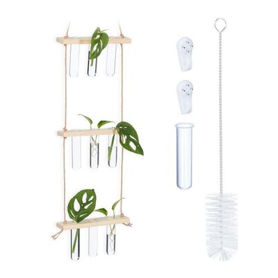 Forplantningsstasjon for hengende planter