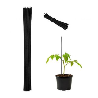 Blomsterpinner 60 cm i sett med 50 stk