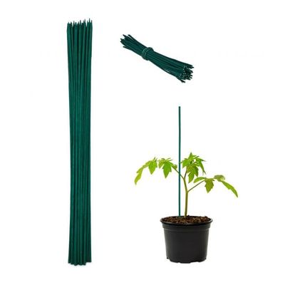 Blomsterpinde 60 cm i sæt af 50 stk