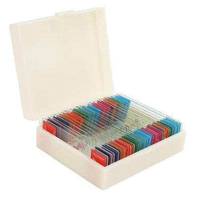 Biologiundervisningsslides i høj opløsning: 25 insekt-, dyre- og planteprøver