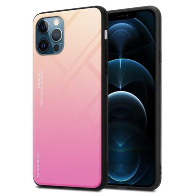 Deksel til iPhone 12 PRO MAX Silikondeksel av TPU-silikon og bakside av herdet glass