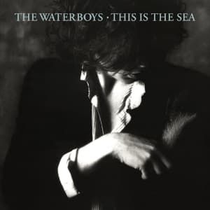 The Waterboys - This Is The Sea (CD)
