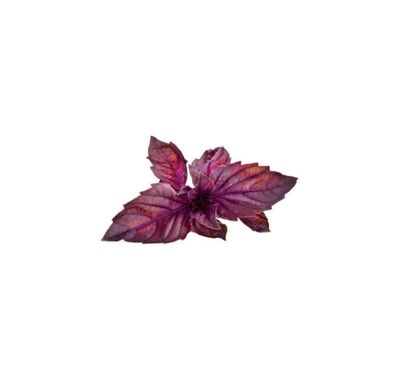 Click & Grow Smart Garden refill Rød Basilikum 3stk