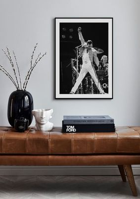 FREDDIE MERCURY II PLAKAT